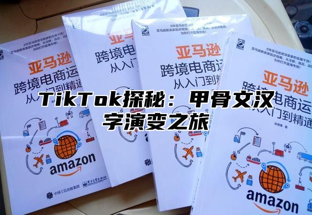 TikTok探秘：甲骨文汉字演变之旅