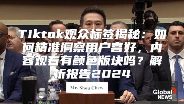 Tiktok观众标签揭秘：如何精准洞察用户喜好，内容观看有颜色版块吗？解析报告2025