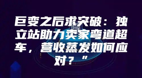 巨变之后求突破：独立站助力卖家弯道超车，营收蒸发如何应对？”