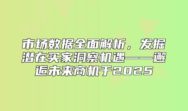 市场数据全面解析，发掘潜在买家洞察机遇——邂逅未来商机于2025
