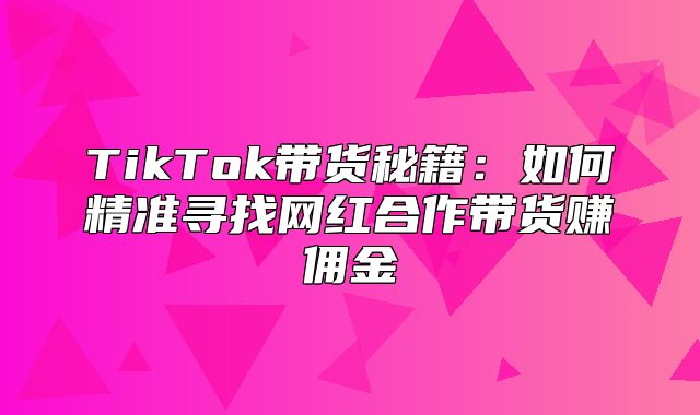 TikTok带货秘籍：如何精准寻找网红合作带货赚佣金
