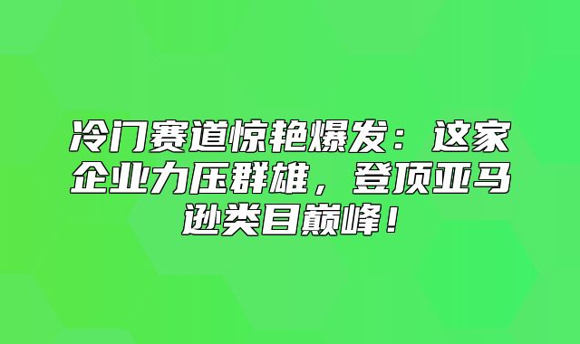 冷门赛道惊艳爆发：这家企业力压群雄，登顶亚马逊类目巅峰！