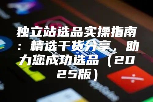 独立站选品实操指南：精选干货分享，助力您成功选品2025版