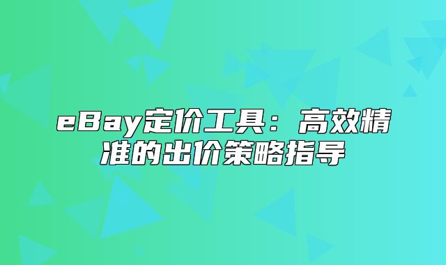 eBay定价工具：高效精准的出价策略指导