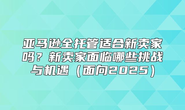 亚马逊全托管适合新卖家吗？新卖家面临哪些挑战与机遇面向2025