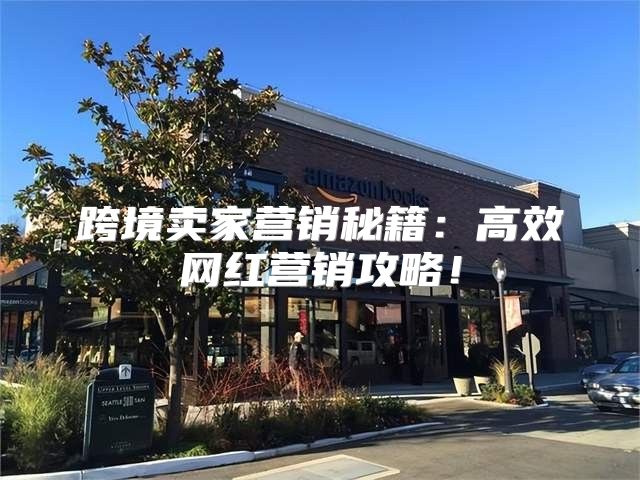 跨境卖家营销秘籍：高效网红营销攻略！
