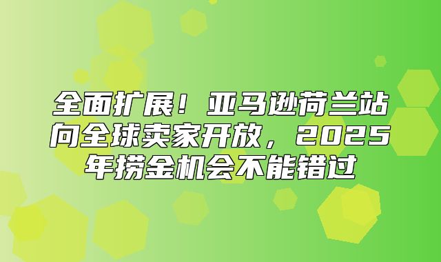 全面扩展！亚马逊荷兰站向全球卖家开放，2025年捞金机会不能错过