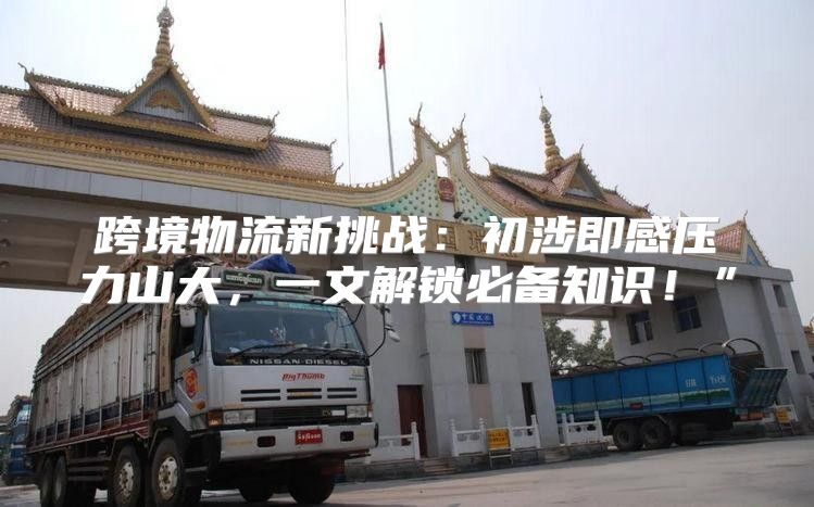 跨境物流新挑战：初涉即感压力山大，一文解锁必备知识！”