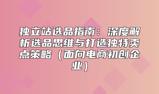 独立站选品指南：深度解析选品思维与打造独特卖点策略面向电商初创企业