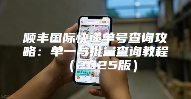顺丰国际快递单号查询攻略：单一与批量查询教程2025版