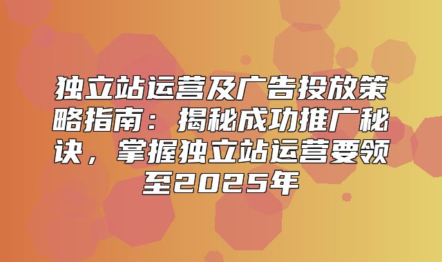 独立站运营及广告投放策略指南：揭秘成功推广秘诀，掌握独立站运营要领至2025年