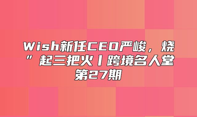 Wish新任CEO严峻，烧”起三把火丨跨境名人堂第27期