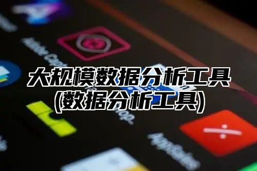 大规模数据分析工具(数据分析工具)