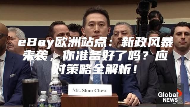 eBay欧洲站点：新政风暴来袭，你准备好了吗？应对策略全解析！
