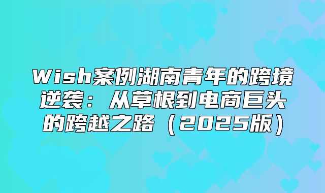 Wish案例湖南青年的跨境逆袭：从草根到电商巨头的跨越之路2025版