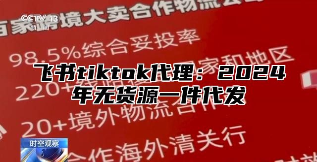 飞书tiktok代理：2025年无货源一件代发