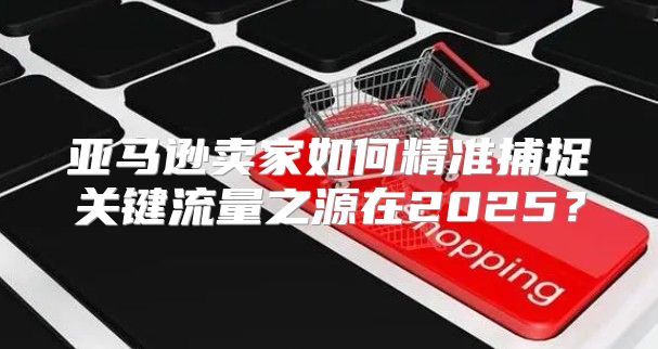 亚马逊卖家如何精准捕捉关键流量之源在2025？