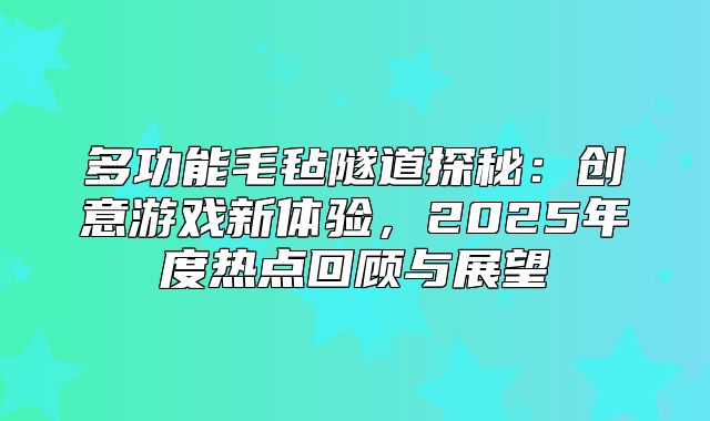 多功能毛毡隧道探秘：创意游戏新体验，2025年度热点回顾与展望