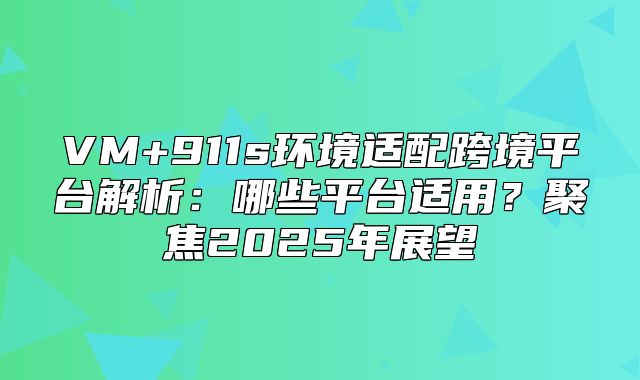 VM+911s环境适配跨境平台解析：哪些平台适用？聚焦2025年展望