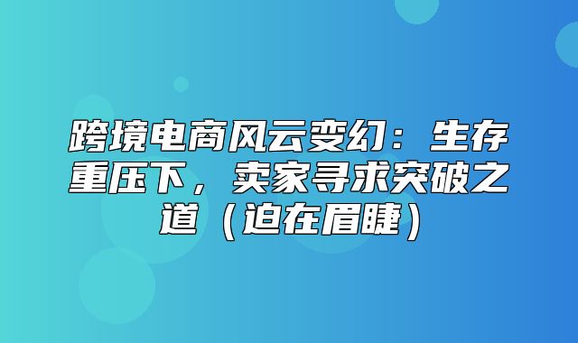 跨境电商风云变幻：生存重压下，卖家寻求突破之道迫在眉睫