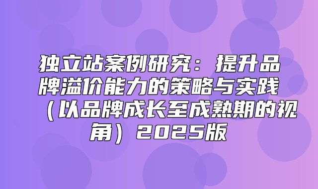 独立站案例研究：提升品牌溢价能力的策略与实践以品牌成长至成熟期的视角2025版