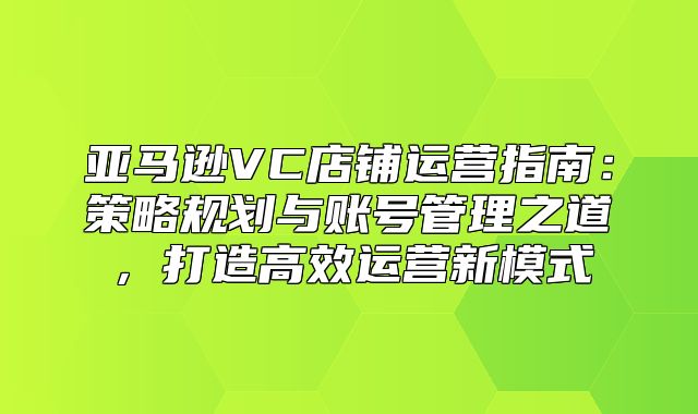 亚马逊VC店铺运营指南：策略规划与账号管理之道，打造高效运营新模式