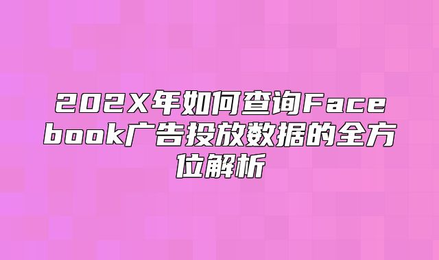 202X年如何查询Facebook广告投放数据的全方位解析