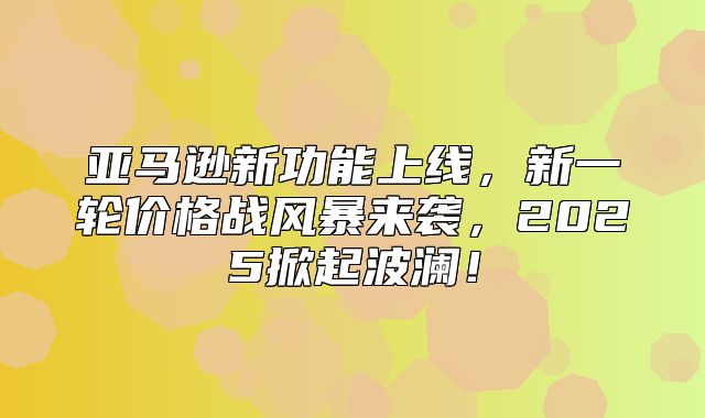亚马逊新功能上线，新一轮价格战风暴来袭，2025掀起波澜！