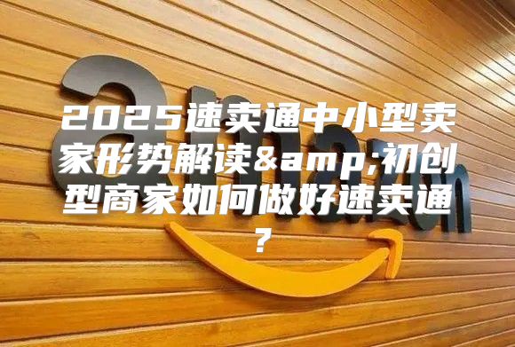 2025速卖通中小型卖家形势解读&amp;初创型商家如何做好速卖通？