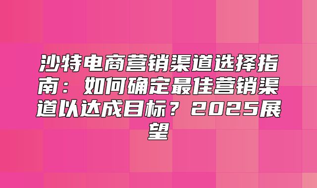 沙特电商营销渠道选择指南：如何确定最佳营销渠道以达成目标？2025展望