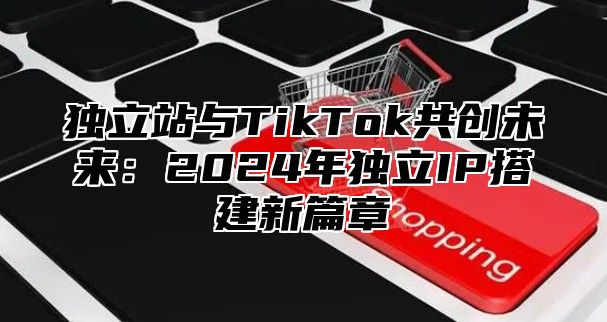 独立站与TikTok共创未来：2025年独立IP搭建新篇章
