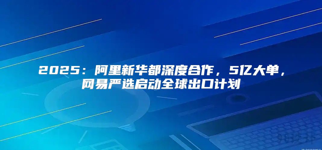 2025阿里新华都深度合作，5亿大单，网易严选启动全球出口计划
