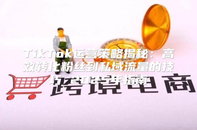 TikTok运营策略揭秘：高效转化粉丝到私域流量的技巧 2025年指南
