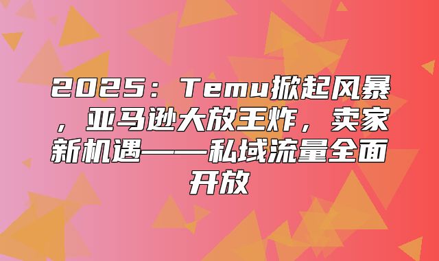 2025Temu掀起风暴，亚马逊大放王炸，卖家新机遇——私域流量全面开放