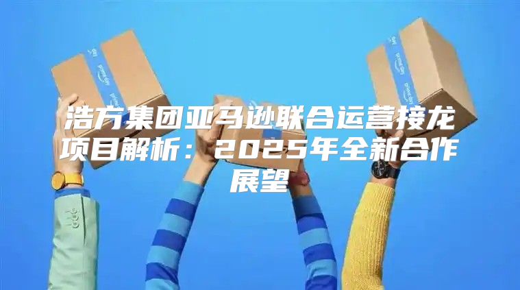 浩方集团亚马逊联合运营接龙项目解析：2025年全新合作展望