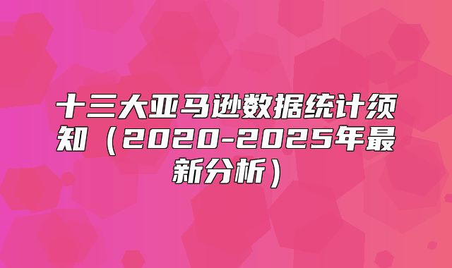 十三大亚马逊数据统计须知2020-2025年最新分析