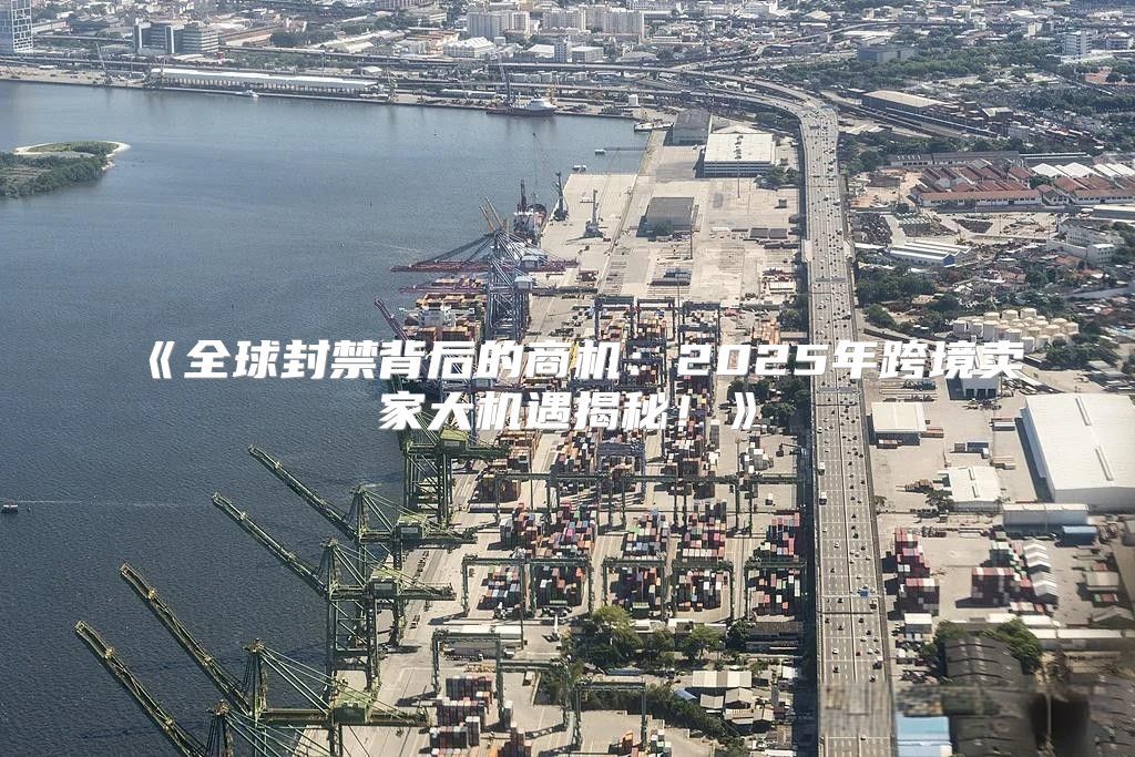 全球封禁背后的商机：2025年跨境卖家大机遇揭秘！