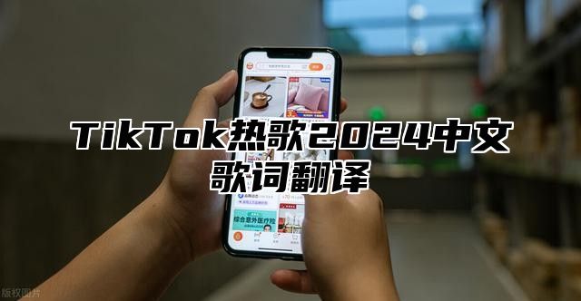 TikTok热歌2025中文歌词翻译