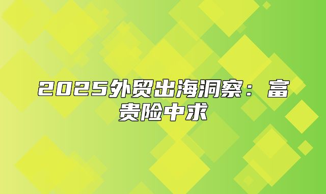2025外贸出海洞察：富贵险中求