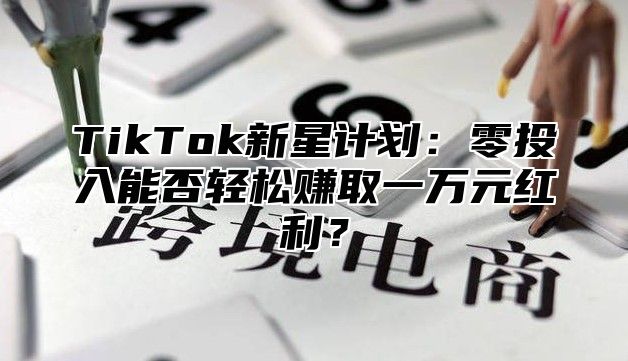 TikTok新星计划：零投入能否轻松赚取一万元红利？