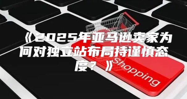 2025年亚马逊卖家为何对独立站布局持谨慎态度？