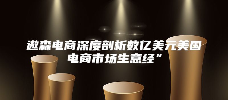 遨森电商深度剖析数亿美元美国电商市场生意经”