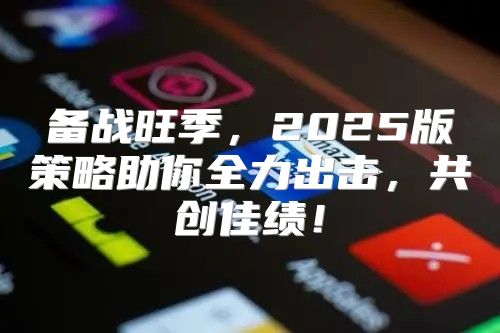 备战旺季，2025版策略助你全力出击，共创佳绩！