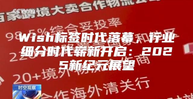 Wish标签时代落幕，行业细分时代崭新开启：2025新纪元展望