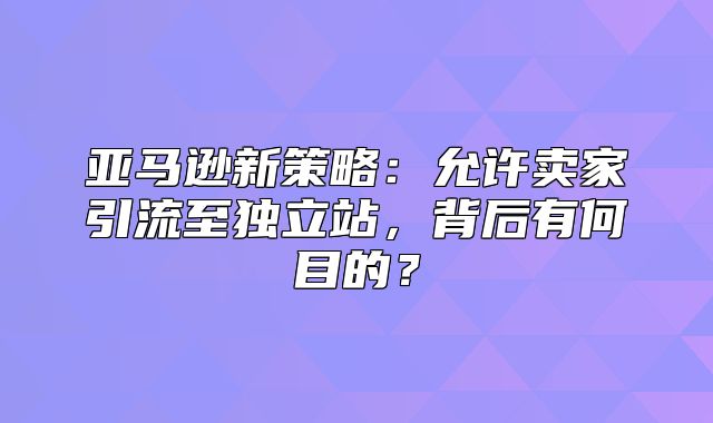 亚马逊新策略：允许卖家引流至独立站，背后有何目的？