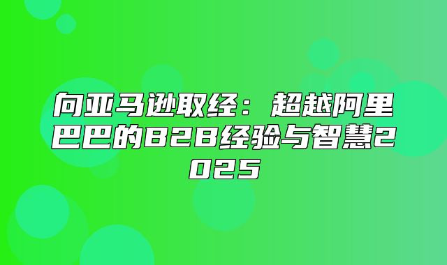 向亚马逊取经：超越阿里巴巴的B2B经验与智慧2025