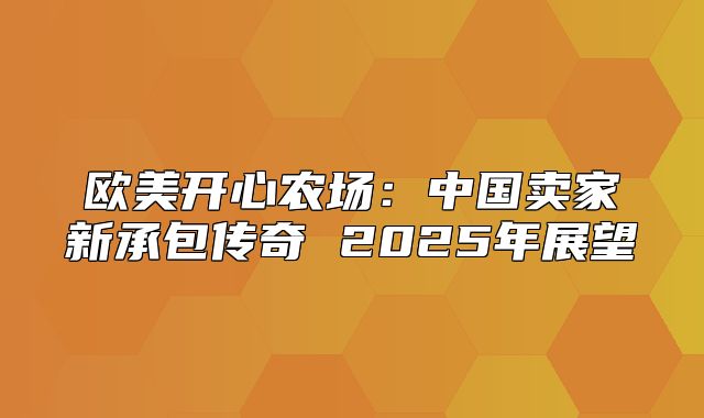 欧美开心农场：中国卖家新承包传奇 2025年展望