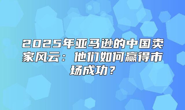 2025年亚马逊的中国卖家风云：他们如何赢得市场成功？