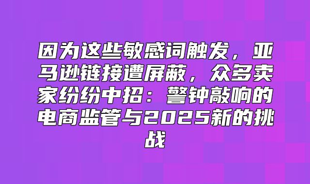 因为这些敏感词触发，亚马逊链接遭屏蔽，众多卖家纷纷中招：警钟敲响的电商监管与2025新的挑战