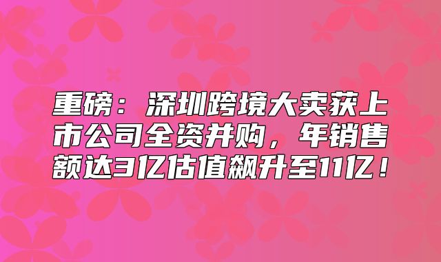 重磅：深圳跨境大卖获上市公司全资并购，年销售额达3亿估值飙升至11亿！